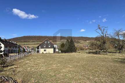 Grundstück Dassel - 46.000&euro; | Angebot:25549820