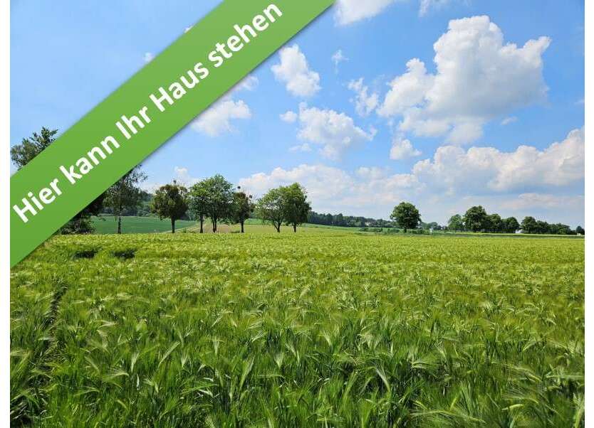 Haus zum Kaufen in Bennigsen 404.550 € 130 m²