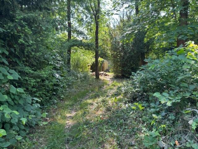 Grundstück Machern - 185.000&euro; | Angebot:22104299