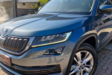 Skoda Kodiaq 221.150 km 17.999 &euro; Floß 92685