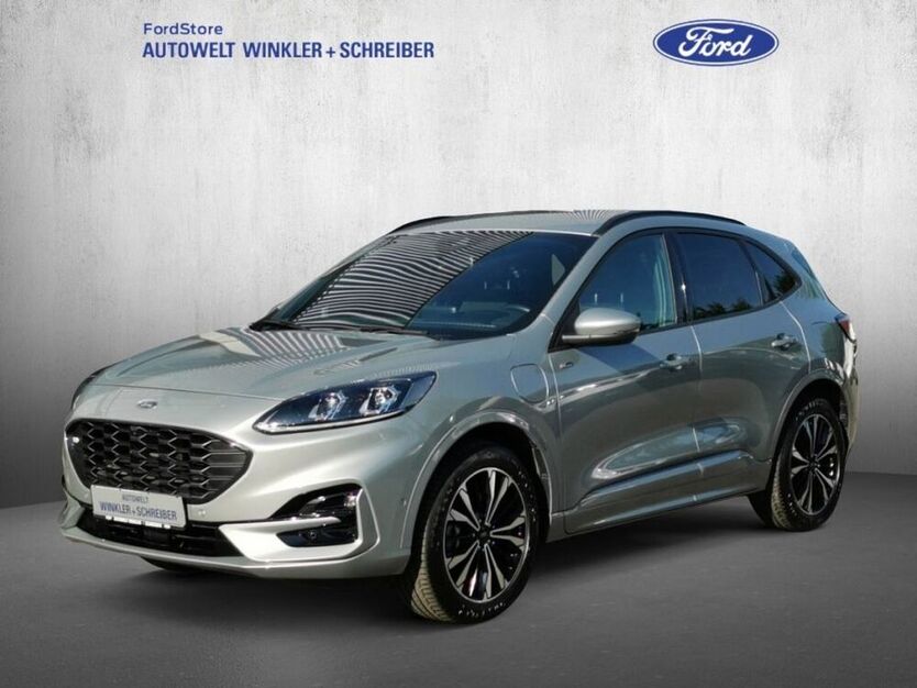 Kuga
