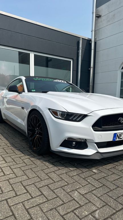 Mustang