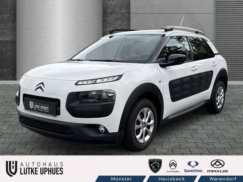 C4 Cactus