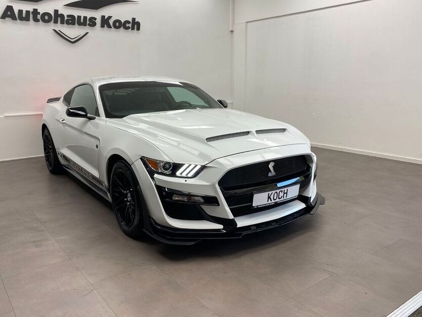 Mustang