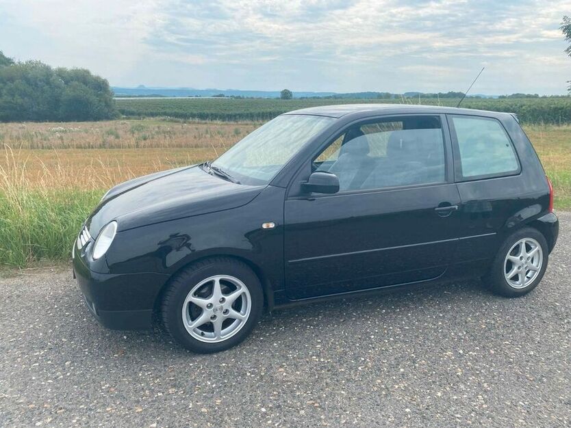 Lupo