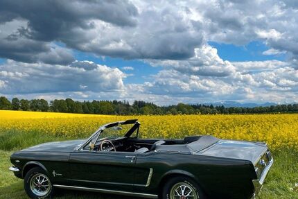 Ford Mustang 65.000 km 39.500 &euro; Grünwald 82031