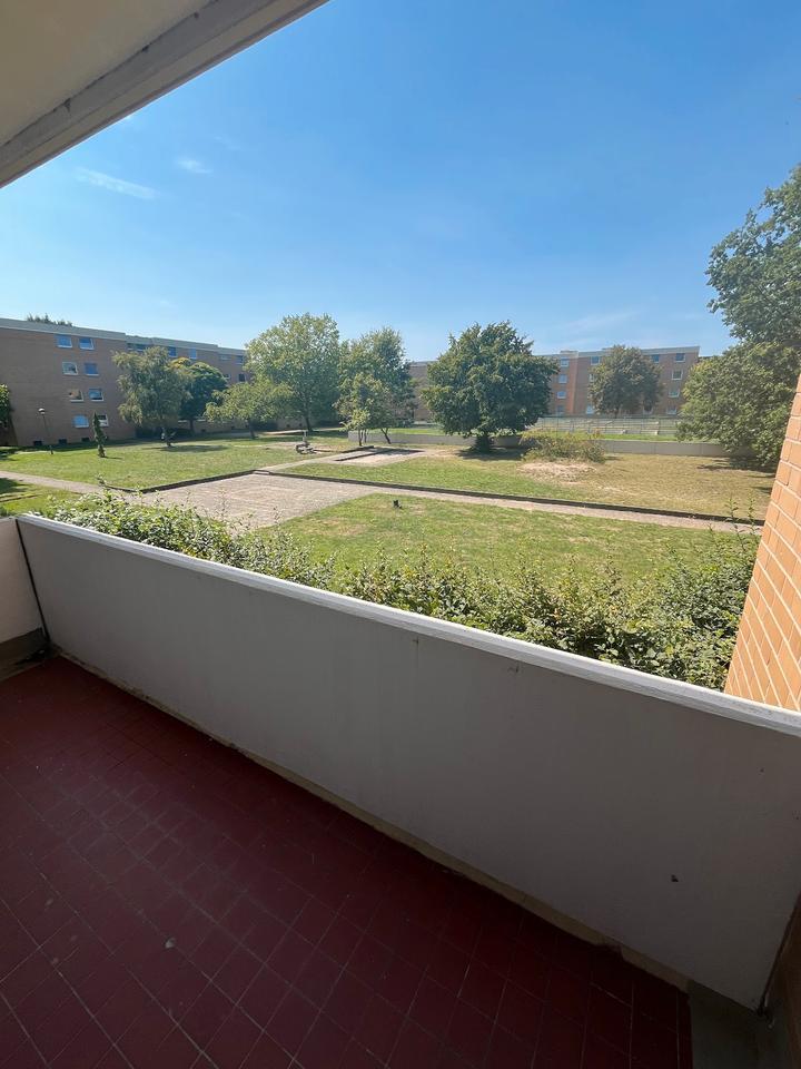 2 Zimmerwohnung mit Balkon zu sofort frei! zimmer