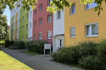 Wohnung Cottbus Sachsendorf - 2 Zimmer, 48 m&sup2;, 325&euro; | Angebot:26368970