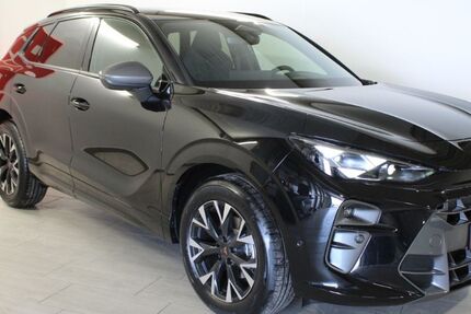 Cupra Terramar 4.900 km 38.490 &euro; Schopfloch 91626