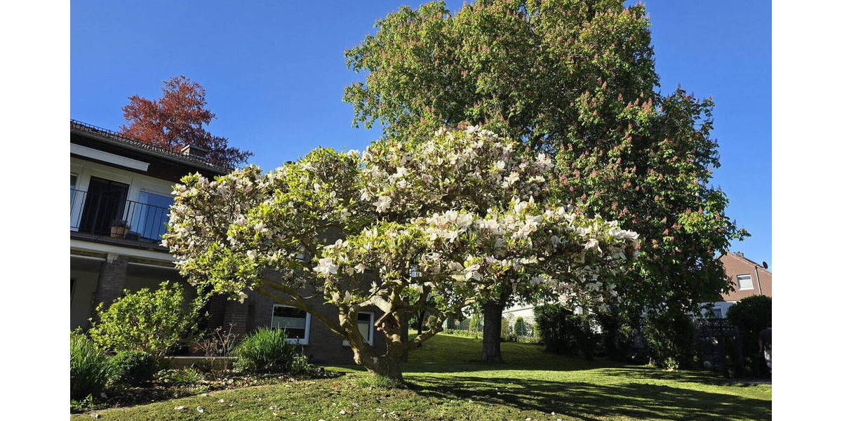 Einfamilienhaus Homberg - 1 Zimmer, 240 m&sup2;, 450.000&euro; | Angebot:26274279