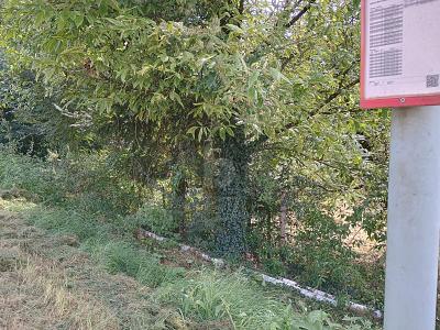 IDYLLISCH, VIEL PLATZ FÜR IHR PROJEKT - Grundstück Merzig | Angebot:27145405