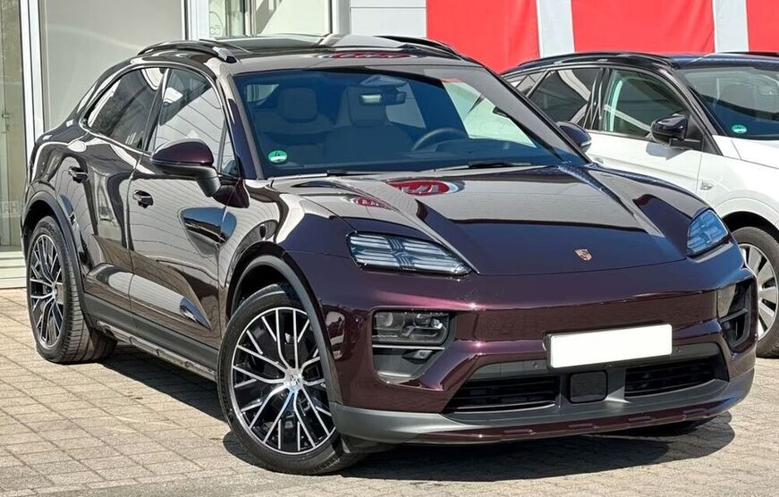 Macan