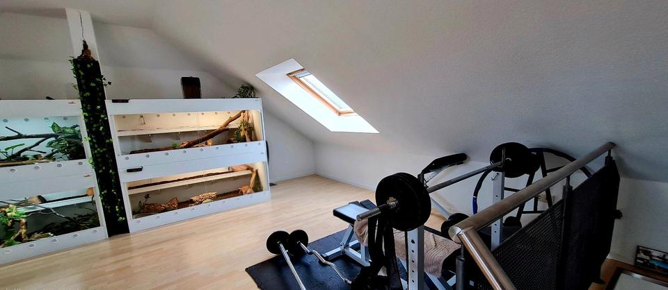 Maisonettenwohnung Ludwigshafen am Rhein Ludwigshafen-Oggersheim - 4 Zimmer, 102 m&sup2;, 310.000&euro; | Angebot:25992425