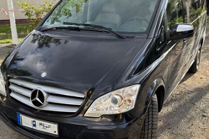 Mercedes Viano