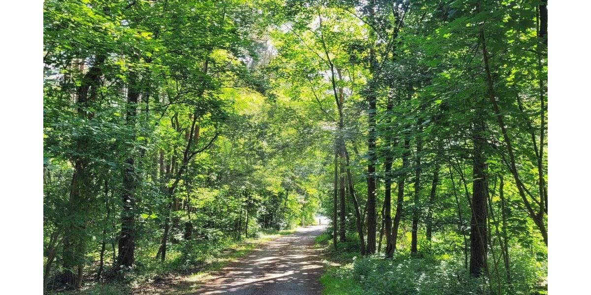 Grundstück Coswig (Anhalt) Coswig - 55.000&euro; | Angebot:26204759