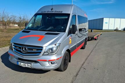 Mercedes-Benz Sprinter 250.300 km 29.155 &euro; Zarrentin 19246