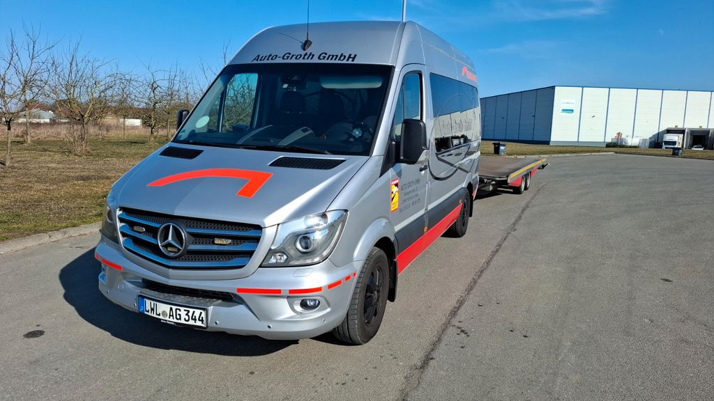 Mercedes-Benz Sprinter 250.300 km 29.155 &euro; Zarrentin 19246
