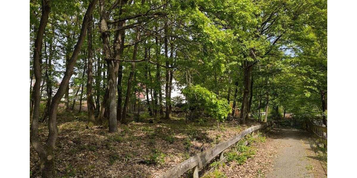 Grundstück Stromberg / Schindeldorf Schindeldorf - 78.000&euro; | Angebot:26505771