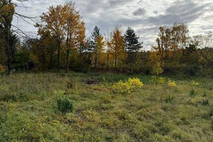 Grundstück Weinböhla - 308.600&euro; | Angebot:23974276