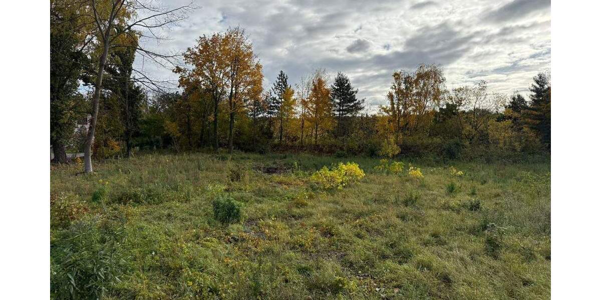 Grundstück Weinböhla - 308.600&euro; | Angebot:23974276