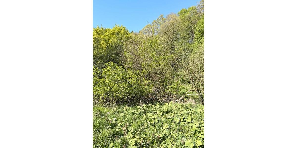 Grundstück Wuppertal Elberfeld - 150&euro; | Angebot:26313073