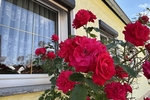 Gemütliche Doppelhaushälfte mit großem Grundstück und Doppelgarage in ruhiger Siedlungslage - Doppelhaushälfte Röderaue | Angebot:27134387