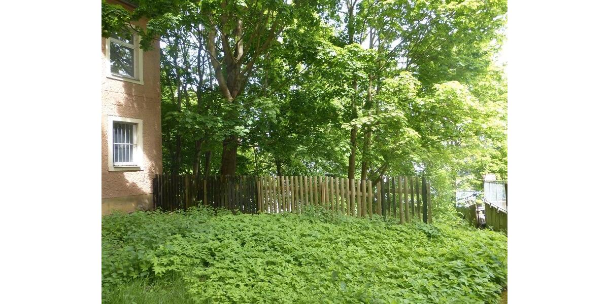 Etagenwohnung Annaberg-Buchholz Buchholz - 3 Zimmer, 74 m&sup2;, 410&euro; | Angebot:26098096