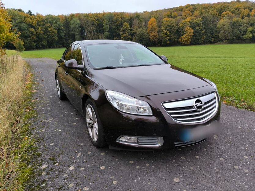 Opel Insignia 162.000 km 5.999 € Sonnenstein 37345