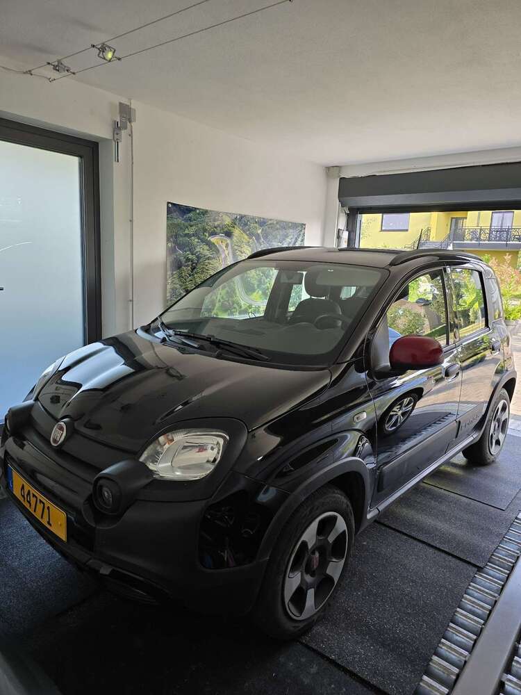 Panda