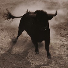 Carmen 20.06.2026 Semperoper Dresden