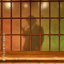 Baskerville 02.07.2026 Stadttheater Heide