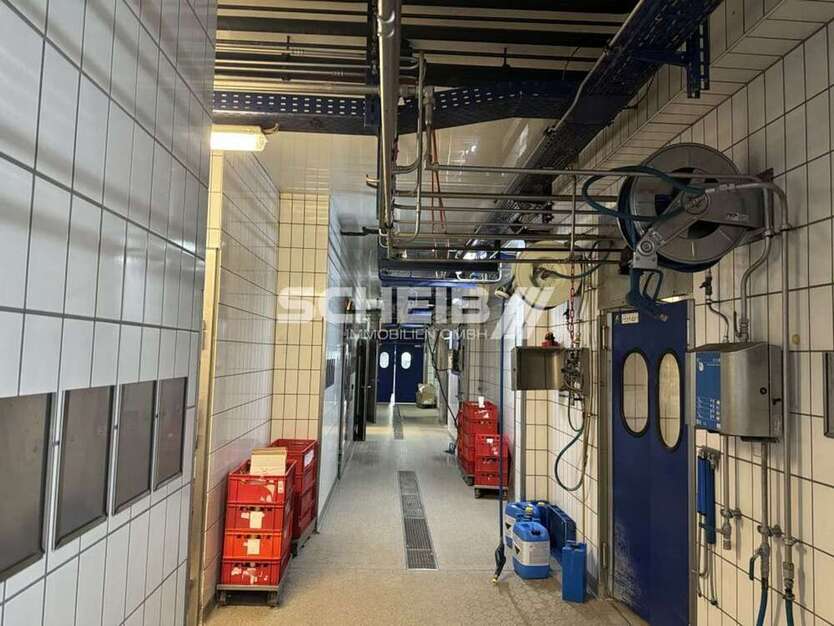 Halle in Frankenhardt 7.000 € 2000 m²