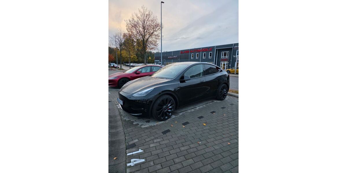 Tesla Model Y 11.500 km 48.000 &euro; Porta Westfalica 32457