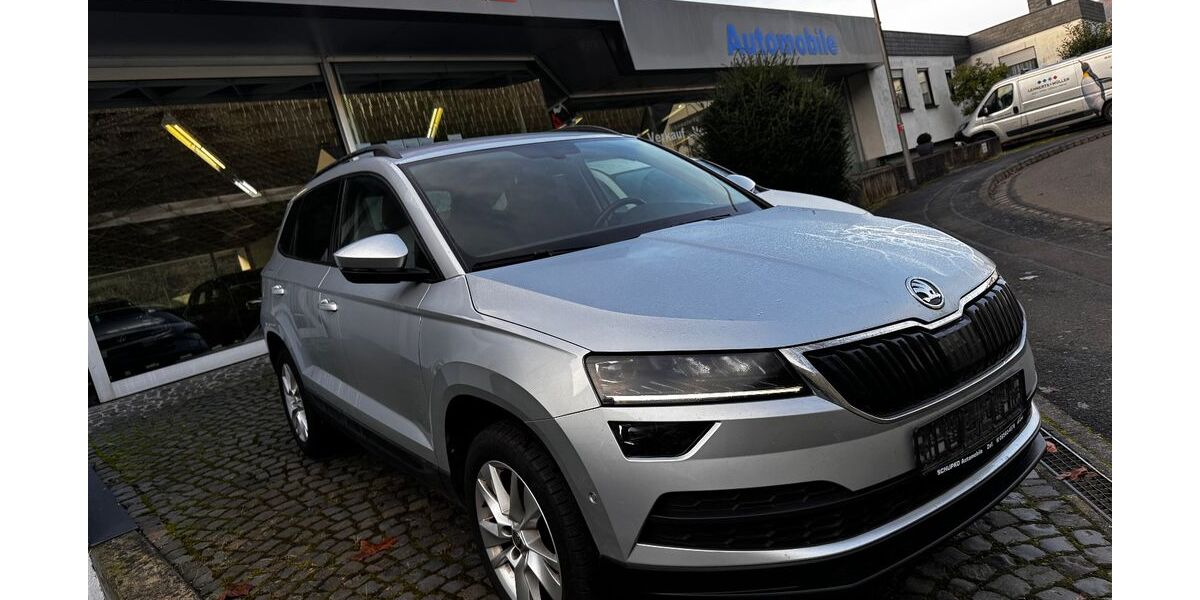 Skoda Karoq 108.700 km 17.580 &euro; Zell (Mosel) 56856