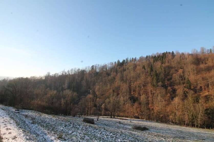 Grundstück zu verkaufen in Obernzell 356.840 € 35684 m²