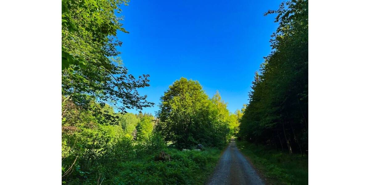 Bauernhaus, Landhaus Neustadt Berthelsdorf - 5 Zimmer, 150 m&sup2;, 485.000&euro; | Angebot:25770653