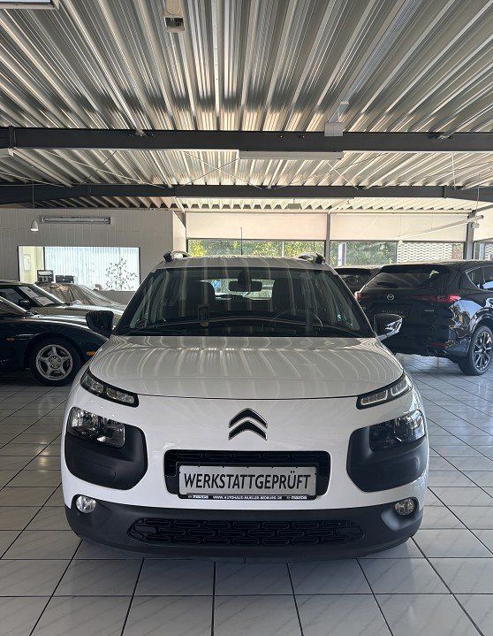 C4 Cactus