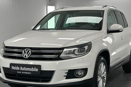 VW Tiguan 173.000 km 9.999 &euro; Heide 25746