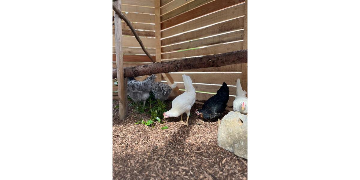 Großzügiges Einfamilienhaus mit Einliegerwohnung - provisionsfrei 7 zimmer