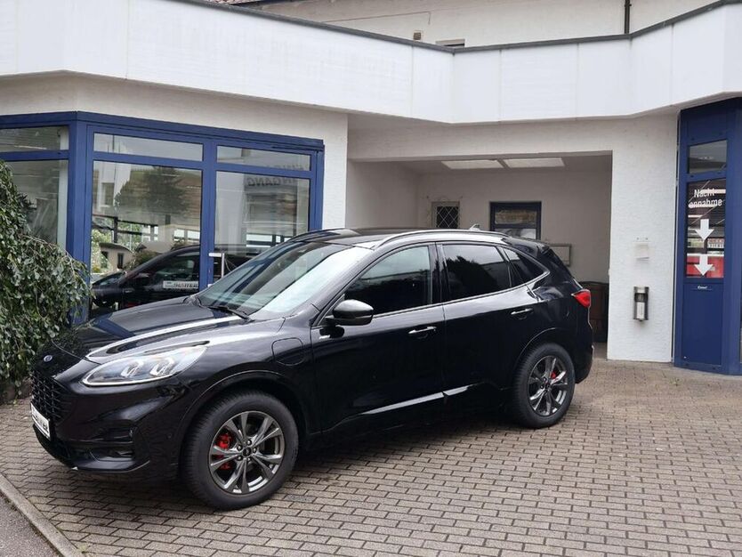 Kuga