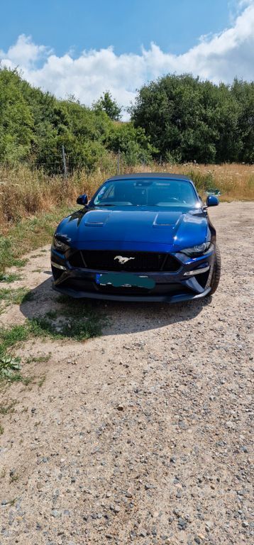 Mustang