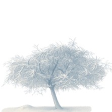 OK Concerts Weihnachtssingen 20.12.2025 Palais Bellevue