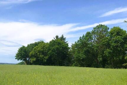 Bebautes Gartengrundstück mit Blick zur Burg Schönfels in völliger Alleinlage. zimmer