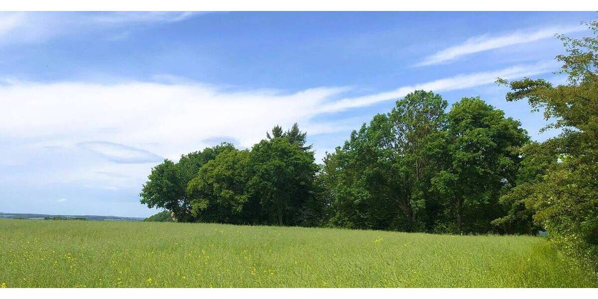 Bebautes Gartengrundstück mit Blick zur Burg Schönfels in völliger Alleinlage. zimmer