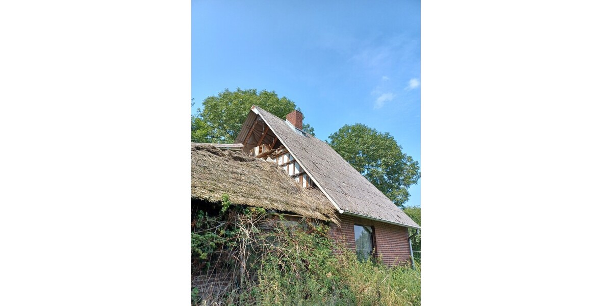 Landwirtschaftliche Flächen mit Potenzial in 21629 Neu Wulmstorf - Gewerbeobjekt Neu Wulmstorf | Angebot:26479469