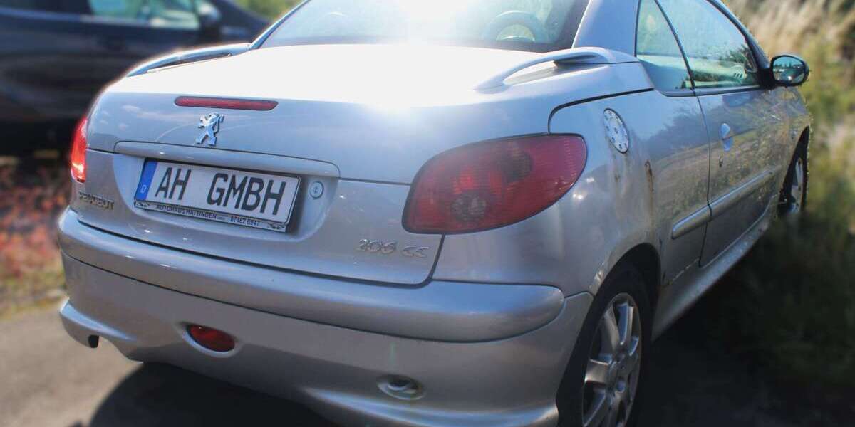 Peugeot 206 168.980 km 700 &euro; Immendingen 78194