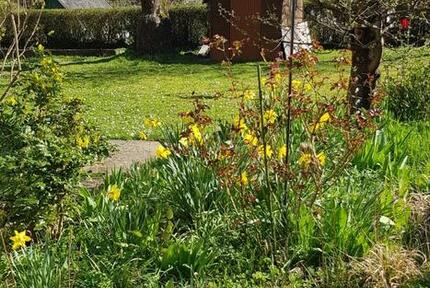 Sonnige 3-Zi-Dachgeschoßwohnung mit Gartennutzung - Zell a. Main