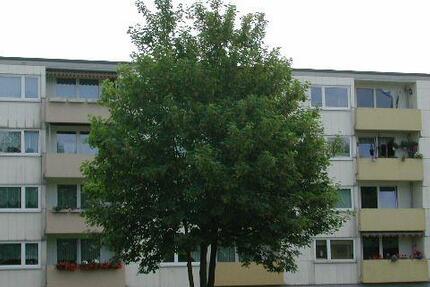 Wohn(t)raum: schöne 3-Zimmer-Wohnung 3 zimmer