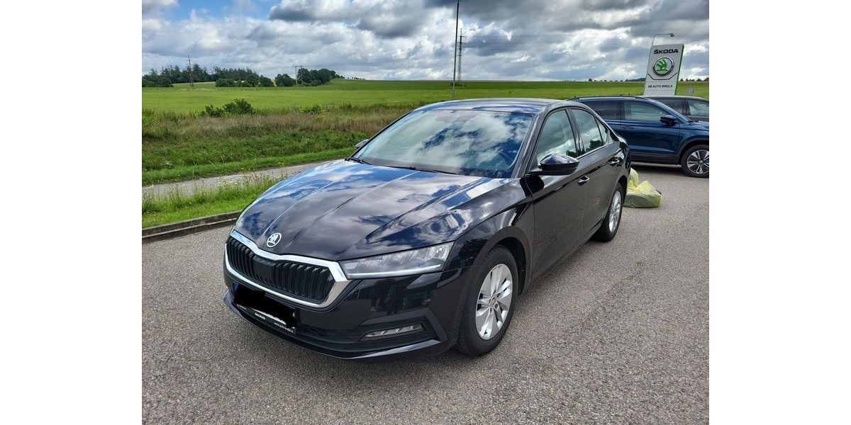 Skoda Octavia 30.300 km 16.880 &euro; Eichenzell 36124