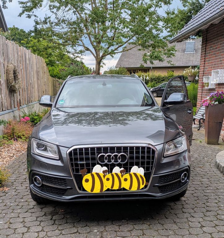 Q5